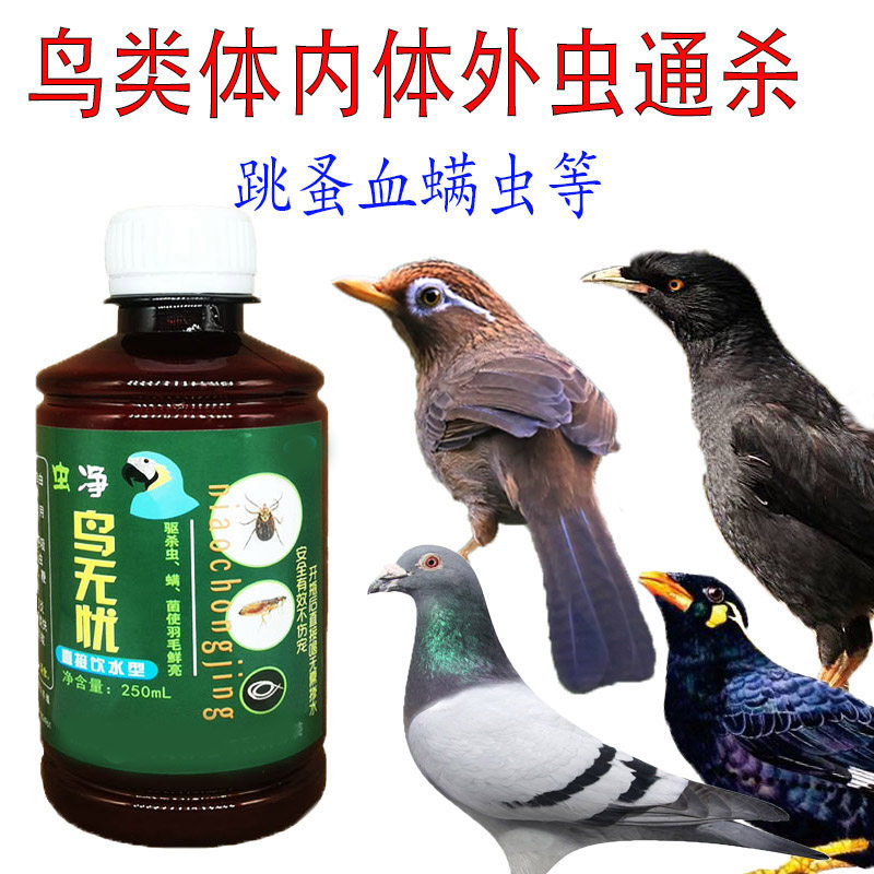 鹦鹉驱虫药画眉鸟驱虫八哥鸟跳蚤螨虫鸟虫清鸟用杀虫剂
