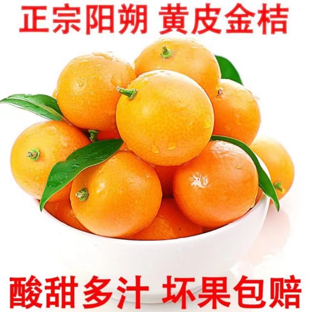 阳朔黄皮小金桔油皮金桔酸甜多汁孕妇新鲜现摘水果当季整箱包邮,水产肉类/新鲜蔬果/熟食,桔子,淘宝优惠券,粉丝福利购,淘宝优惠卷