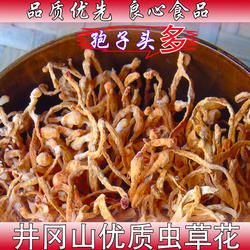 井冈山虫草花金蛹虫草北虫草江西特产配竹荪猴头菇煲汤100g包邮