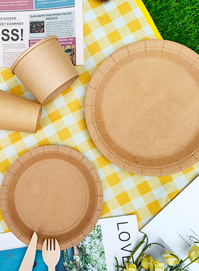 野餐盘一次性餐盘户外露营网红野餐用品餐具牛皮纸盘子蛋糕盘纸盘