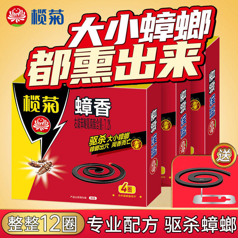 榄菊蟑香全窝端盘香烟片蟑螂药
