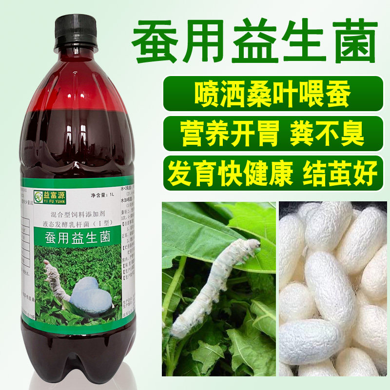 蚕用益生菌养蚕营养液乳杆菌生长发育健壮蚕爱吃结茧大白厚益富源