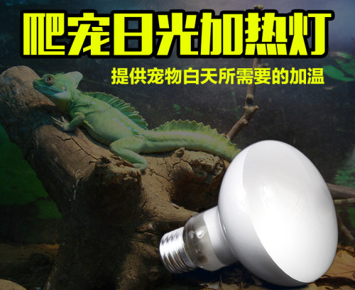爬虫陆龟箱加热灯陆龟蜥蜴蜘蛛加温灯泡日灯乌龟宠物保温50W