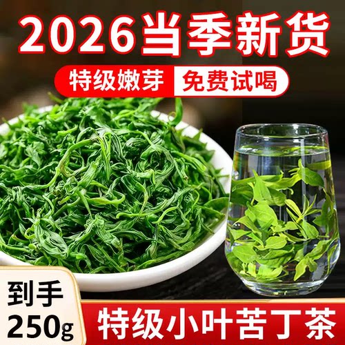 特级小叶苦丁茶2026正宗高山余庆官方旗舰店新嫩芽有什么功效9rp