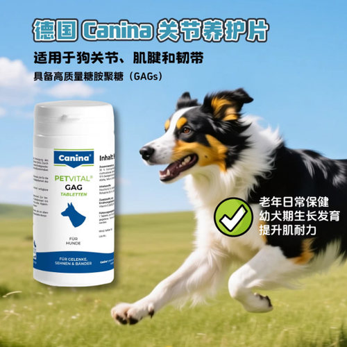 德国canina狗关节韧带肌腱片软骨素绿唇贻贝粉老年幼犬
