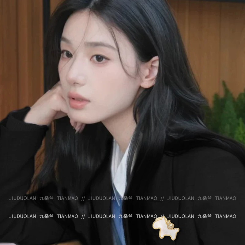 小马驹胸针女款轻奢时尚设计