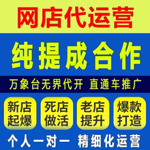 淘宝代运营网店托管服务拼多多天猫店铺推广整店纯提成万相台无界
