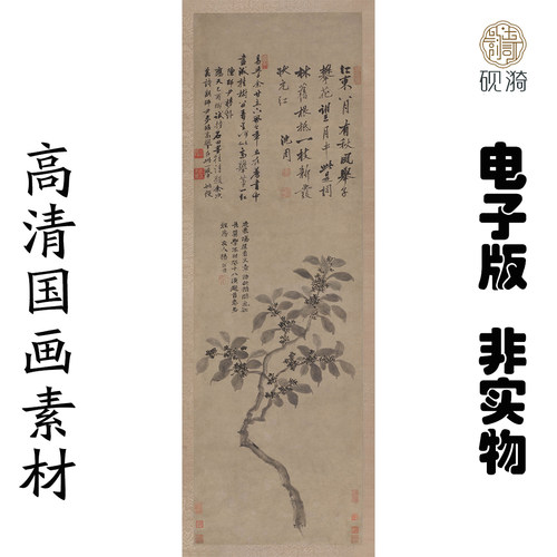 M545 明沈周折桂图高清电子素材百度网盘发货非实物
