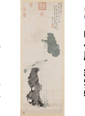 M077 明李士达瑞莲图高清电子素材百度网盘发货非实物