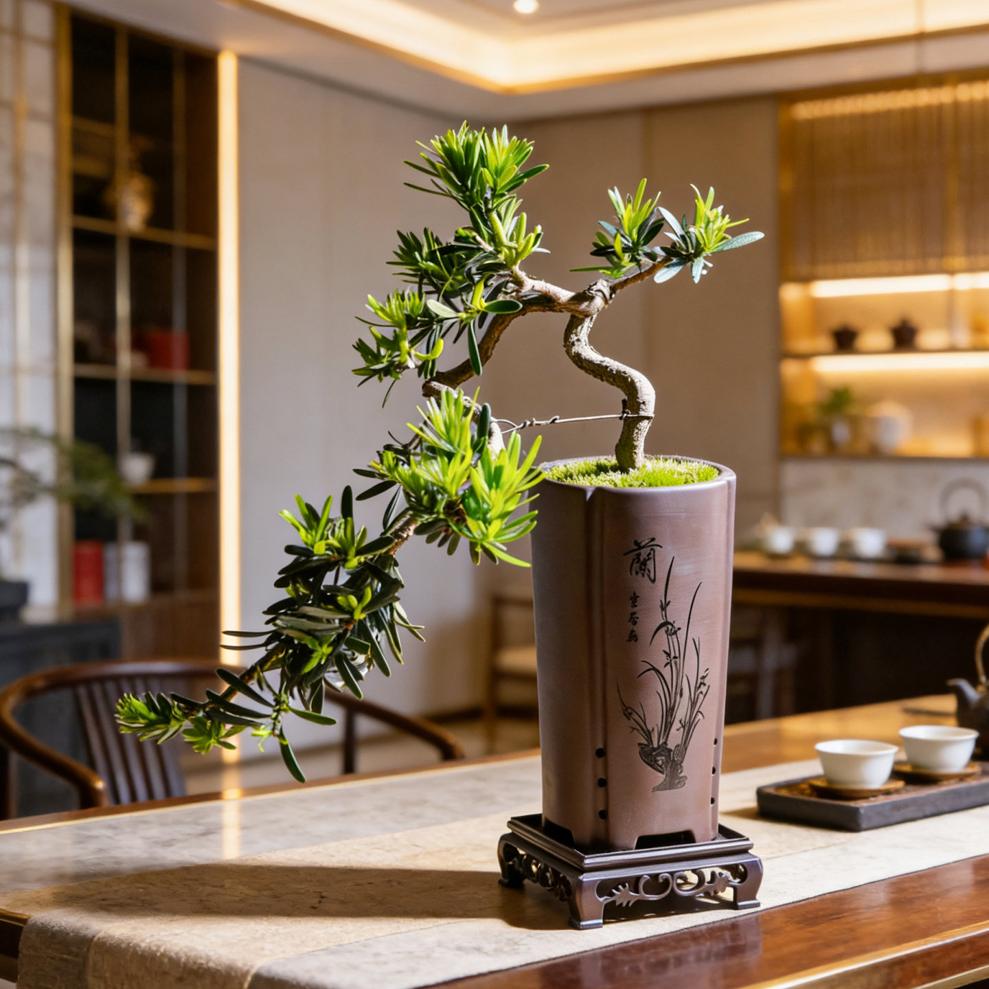 悬崖式小叶罗汉松盆景飘枝造型盆栽室内中式茶室茶桌阳台送礼绿植