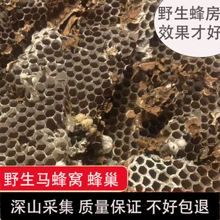 野生峰蛹窝野蜂窝马蜂窝露蜂房黄蜂窝山蜂房老蜂巢500g