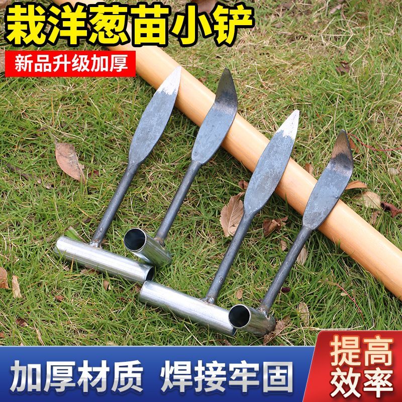 新款种洋葱小铲子栽洋葱苗铲子农用种圆葱栽圆葱工具一体成型铲子