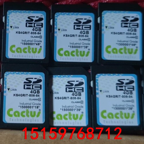 SD卡 4GB 美国仙人掌 SD卡 4G 温宽C10 高速工议价