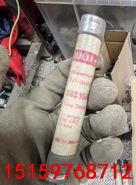 GOULD TRS15R 熔断器 保险管 拆机件，50一个议价