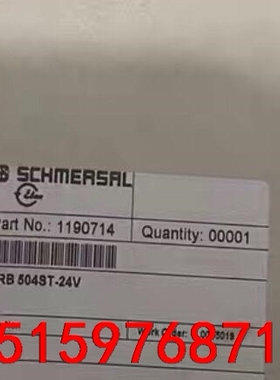 SRB504ST-24V施迈赛SCHMERSAL门监控安全继议价