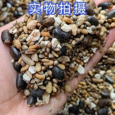 脱胶骨粉熟小氮肥钾肥油麻子君子兰牛骨专用肥蓖麻子麻子磷肥骨粒