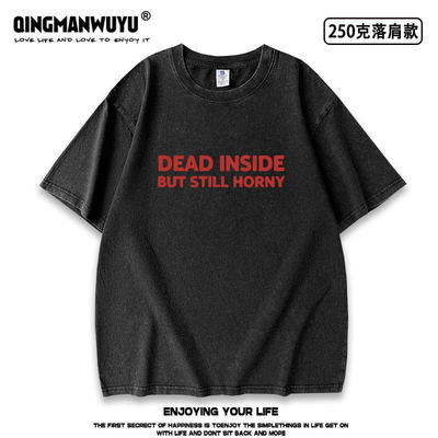 dead inside but still horny趣味英文水洗做旧短袖T恤夏季男女