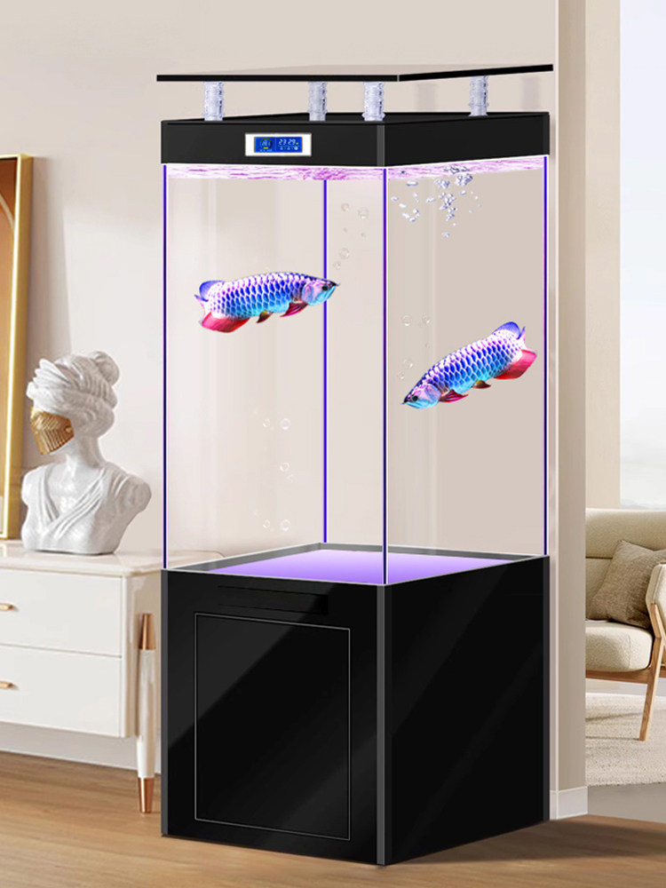 2025新型金晶超白玻璃底过滤龙鱼缸客厅家用大中型立式懒鱼缸