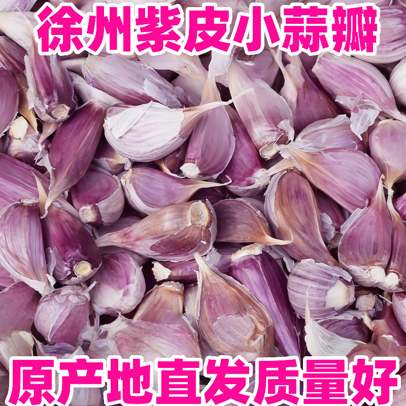 2025紫皮小蒜瓣红皮蒜苗蒜白帽蒜苔蒜农家苔蒜寒蒜二月早川蒜瓣子