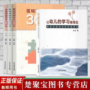 全4册 学习看得见 班级区域活幼儿园区域活动设计与指导 让幼儿