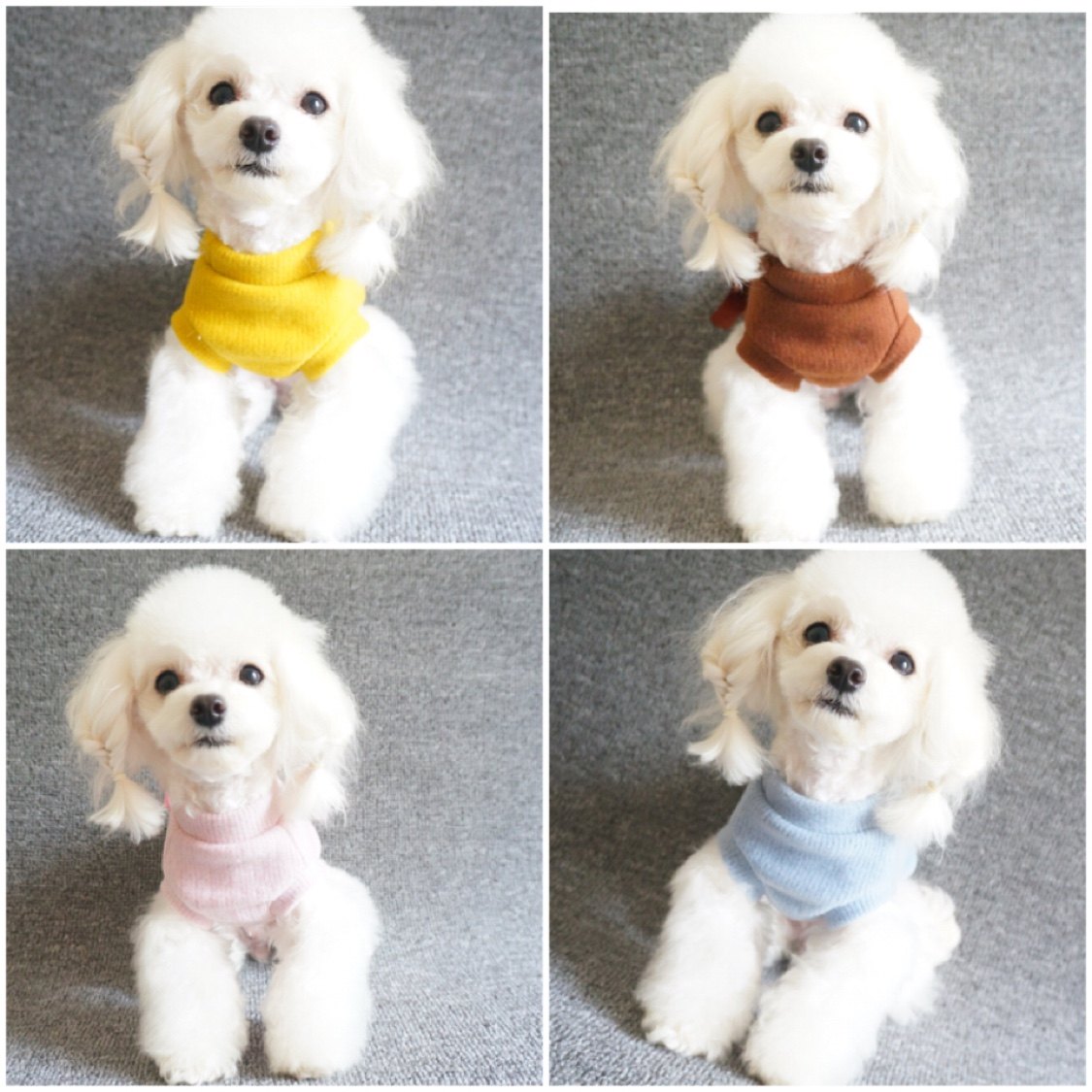 [大蝴蝶结] 新款绣花蝴蝶结羊毛磨毛背心宠物泰迪比熊狗狗衣服在类目 宠物/宠物食品及用品, 宠物服饰及配件, 宠物服装/雨衣中 - 来自Buy2taobao.com提供专业的淘宝代购服务