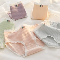 【5 Fit】 Leaf Xiaohua