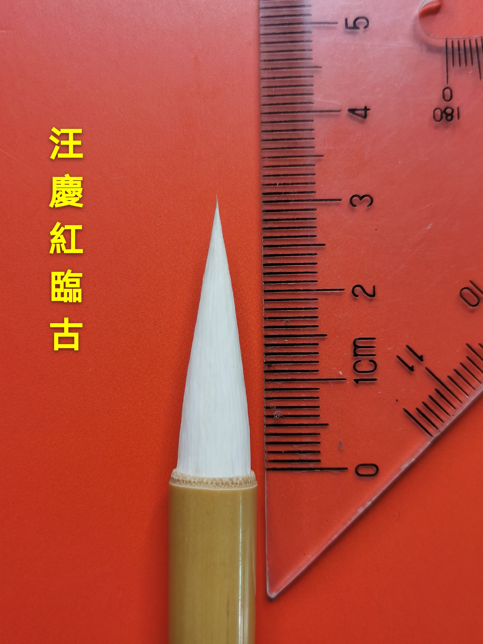 庆红视频同款出锋3厘米小行草