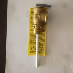 恒热瑞美AO史密斯电热水器专用温度压力安全阀 WATTS沃茨原装进口