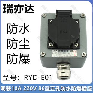 瑞亦达RYD 10A220V86型五孔防水防尘 E01工业EX防爆插座消防明装