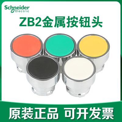 22MM金属平头按钮头施耐德