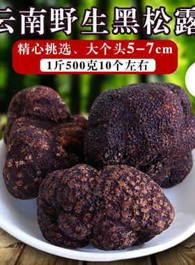 云南特产新鲜黑松露5-7cm1000g白松露酱黑色成熟块菌猪拱菌野生菌