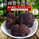 云南特产新鲜黑松露5 7cm1000g白松露酱黑色成熟块菌猪拱菌野生菌