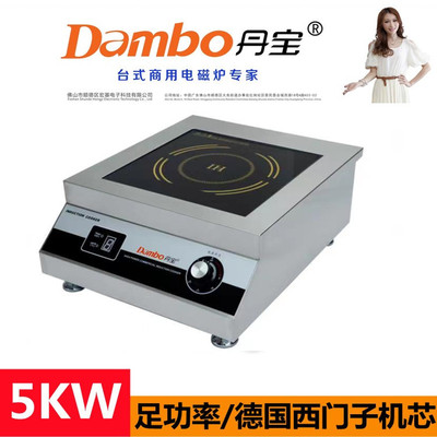 大功率商用丹宝不锈钢5000W