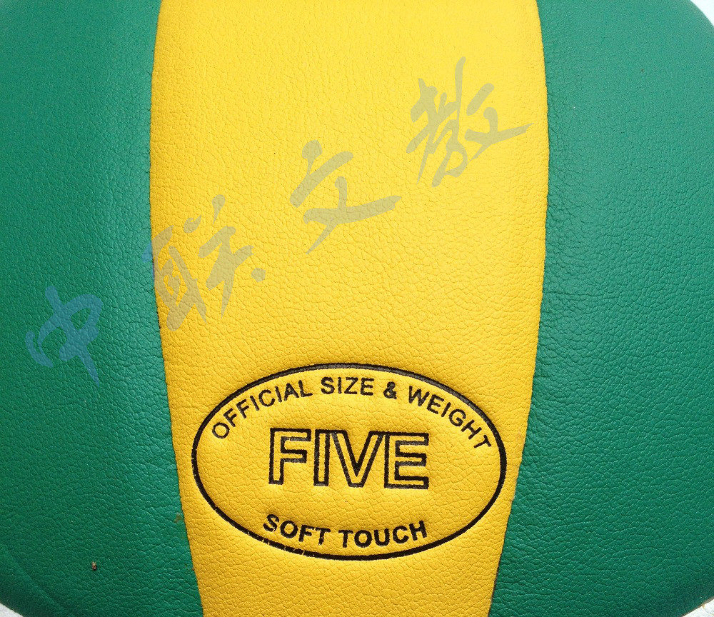 Ballon de volley - Ref 2016049 Image 5