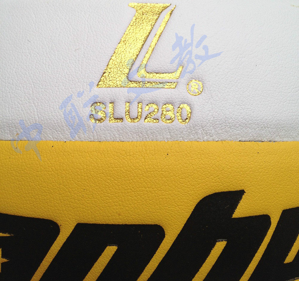 Ballon de volley - Ref 2016049 Image 3