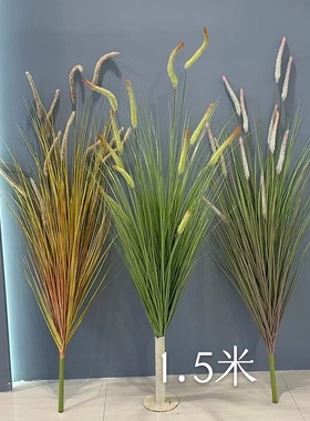 仿真猫尾草狗尾巴草客厅摆件干花室内装饰摆设落地绿植造景假花