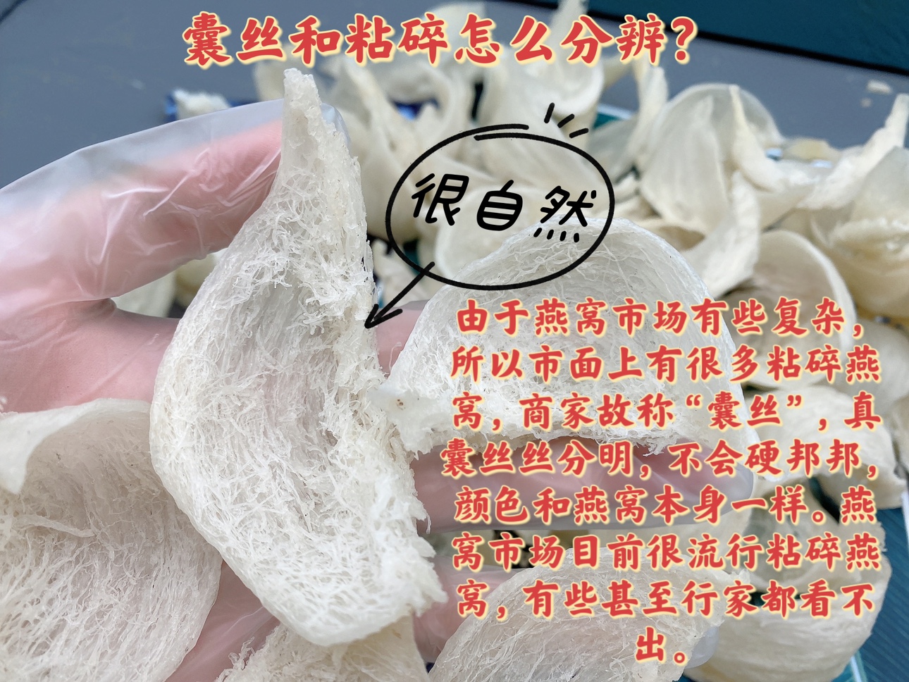 马来西亚燕窝土豪盏纯干挑燕盏金丝燕官燕孕妇滋补品送礼礼盒100g