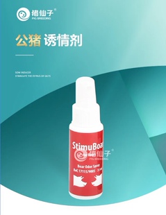 猪仙子供猪公猪诱情剂