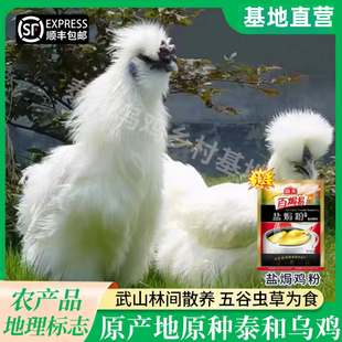 乌骨鸡土鸡农家散养老母鸡公鸡活鸡整只新鲜现杀江西泰和乌鸡原种