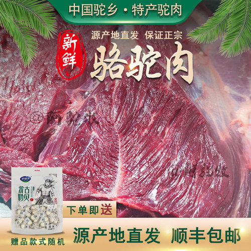 2斤体验装骆驼肉阿拉善精选纯肉