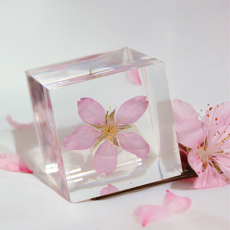 樱花标本立方体七夕永生花送女朋友摆件武汉大学创意文艺纪念礼物