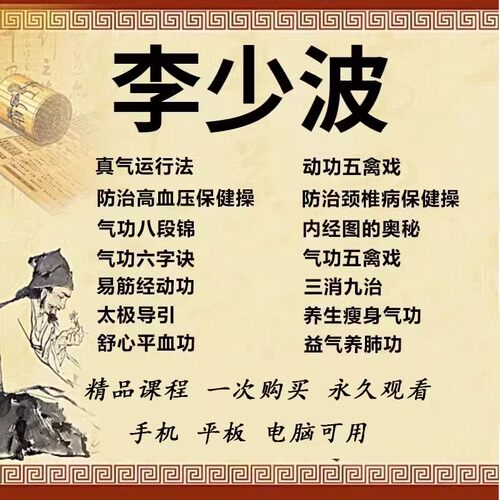 李少波真气运行法打通任督二脉小周天课程中医自学视频音频大全集