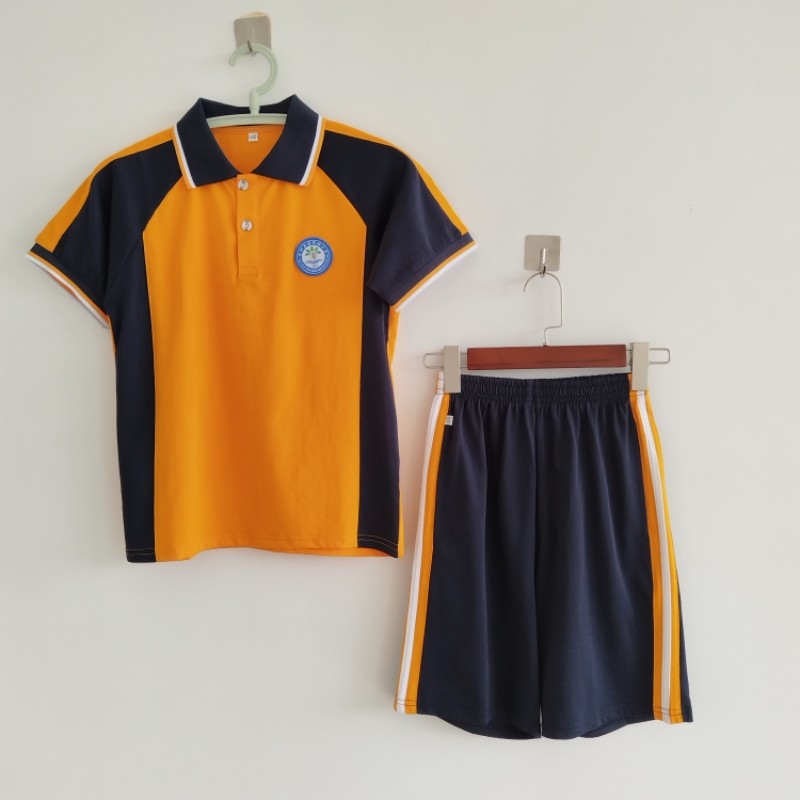 荣湾湖小学同款校服男女夏季短袖
