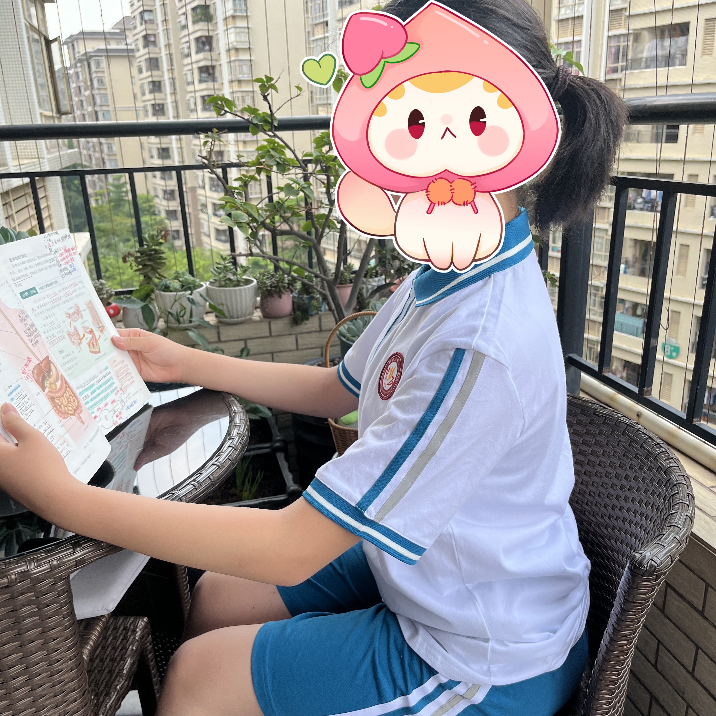 东莞第十一中学校服同款短袖