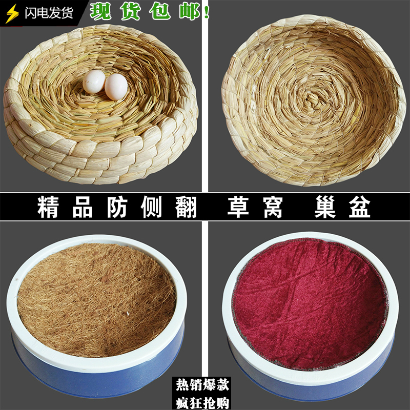 鸽子用品用具鸽子窝防翻草窝信鸽用品鸽具蛋窝塑料巢盆棕布垫包邮 宠物/宠物食品及用品 鸟禽其他 原图主图