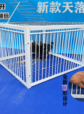 天落加密进不出鸽子笼户外