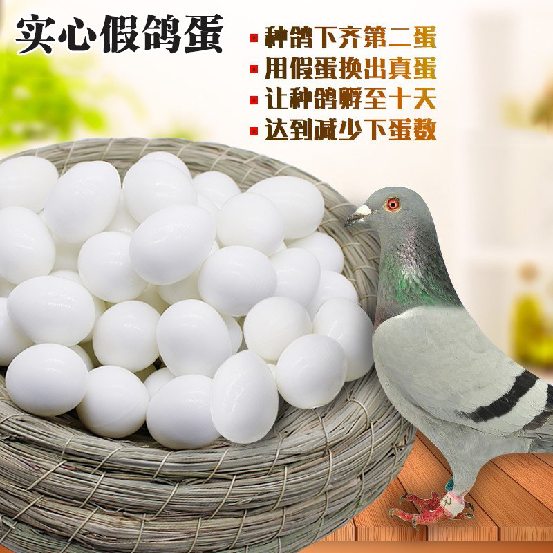 优质假鸽子蛋 非注水实心鸽子假