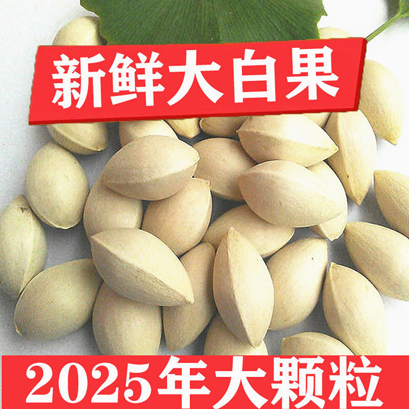 25年新鲜农家老树大白果银杏果