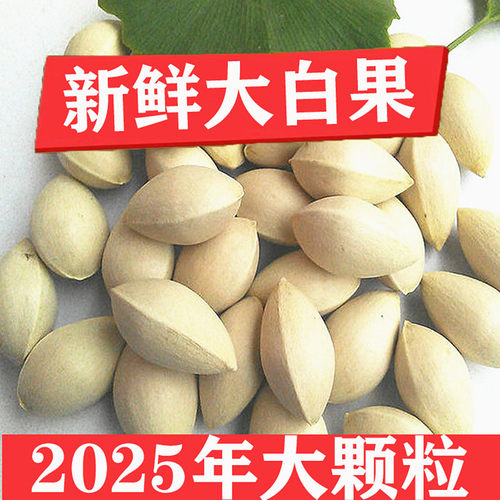 25年新鲜农家老树大白果银杏果