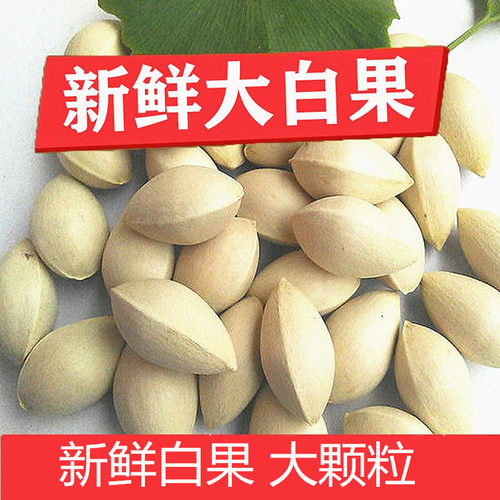 新鲜农家老树大白果银杏果
